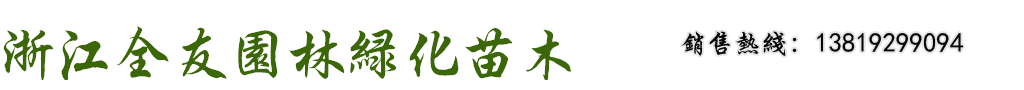 櫸樹(shù)