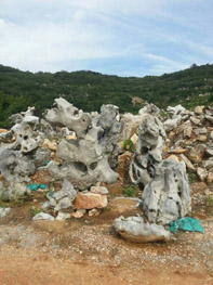 太湖石|園林景觀石