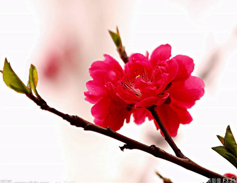 �t÷�r(ji��)��