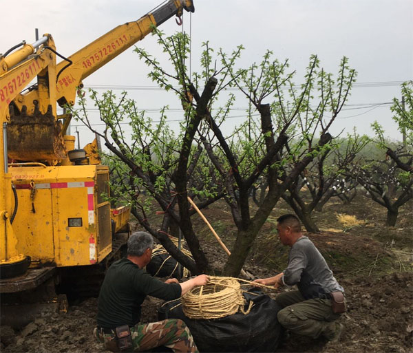 �t÷���������