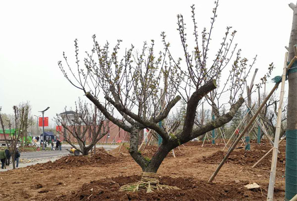 20���ּt÷���ڹ����������ꮅ