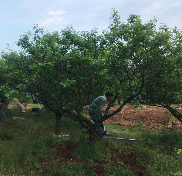 13-15����÷����(sh��)�_(k��i)��