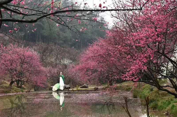 13-15���ּt÷��(sh��)���l(f��)����(y��ng)