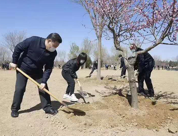 12���ּt÷�����ʲô�r(ji��)��