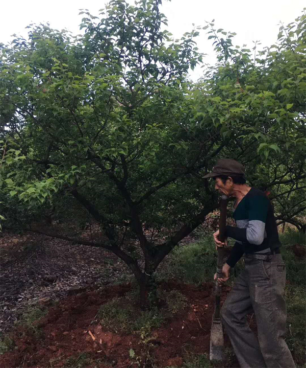 15������÷��ȡ���؛