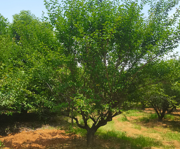 15&aring;&hellip;&not;&aring;&circ;&dagger;&ccedil;&ordm;&cent;&aelig;&cent;&hellip;&aelig;&nbsp;&lsquo;