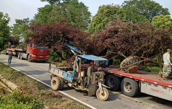 25��������÷�l(f��)���ɶ�