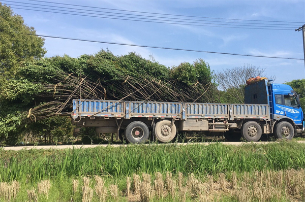 15�������Լ޽Ӽt÷���؛