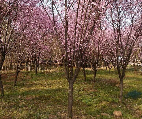 9��������÷