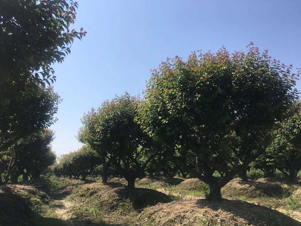 5-30���ּt÷��r���Ј�����