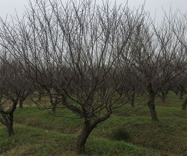 �t÷������r��Z����