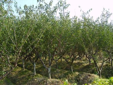 5&aring;&hellip;&not;&aring;&circ;&dagger;&ccedil;&ordm;&cent;&aelig;&cent;&hellip;&aelig;&nbsp;&lsquo;&aring;&Yuml;&ordm;&aring;&oelig;&deg;