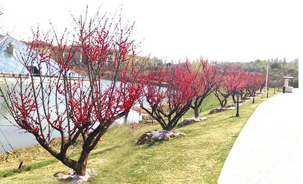 18���ּt÷��