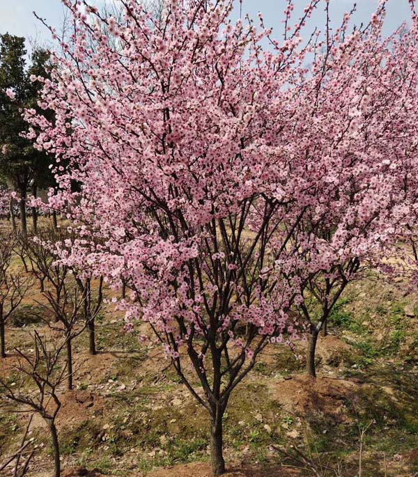 5-7��������÷