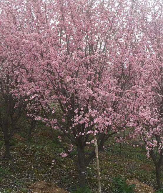 8-10��������÷