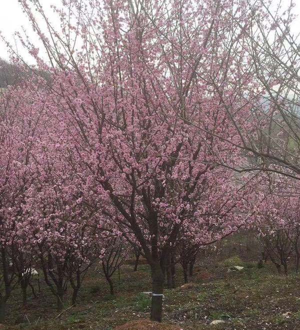 8-10��������÷