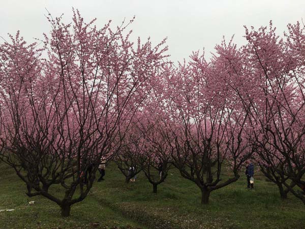 15-25��������÷