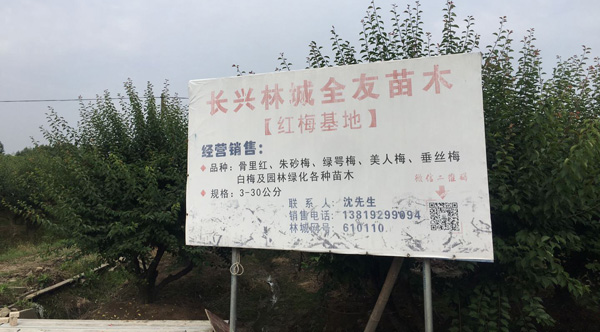 &eacute;&bull;&iquest;&aring;&hellip;&acute;&aring;&hellip;&uml;&aring;&lsaquo;3-30&aring;&hellip;&not;&aring;&circ;&dagger;&ccedil;&ordm;&cent;&aelig;&cent;&hellip;&aelig;&nbsp;&lsquo;&ccedil;&sect;&aelig;&curren;&aring;&Yuml;&ordm;&aring;&oelig;&deg;