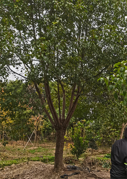 25����������