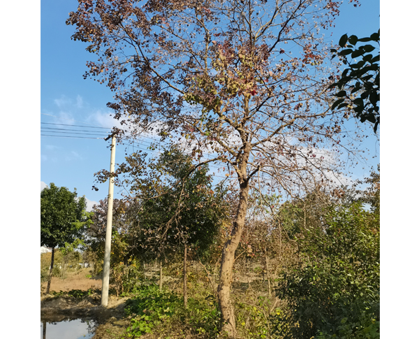 18���֞���