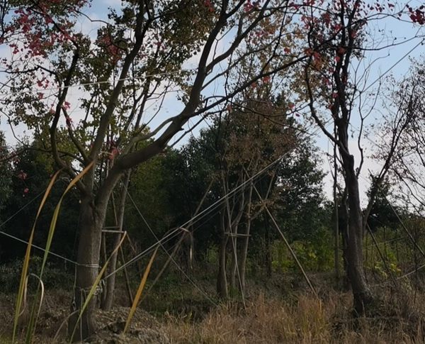 15-25�������͞���