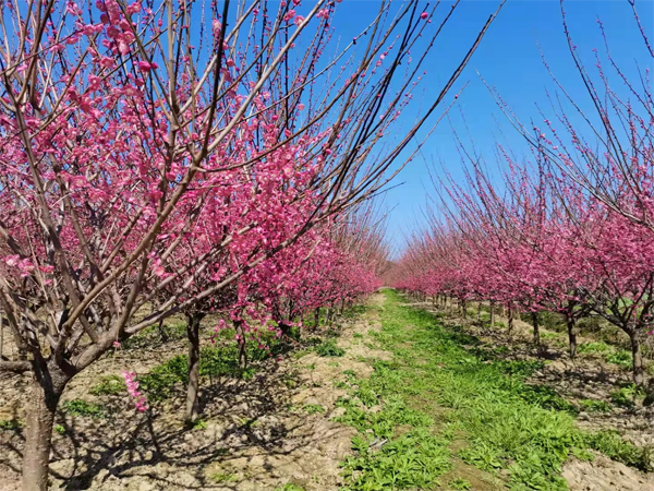 5-30���ּt÷�������У�