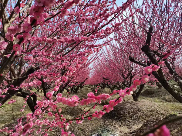 5-30���ּt÷����������