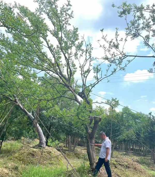 ����(y��ng)20-26���֏��U���굽�����ڄ�(chu��ng)�خa(ch��n)��