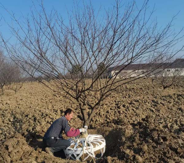 14����JƷ�t÷��ȡ�У��ȴ��͑��Լ��_܇�b؛��