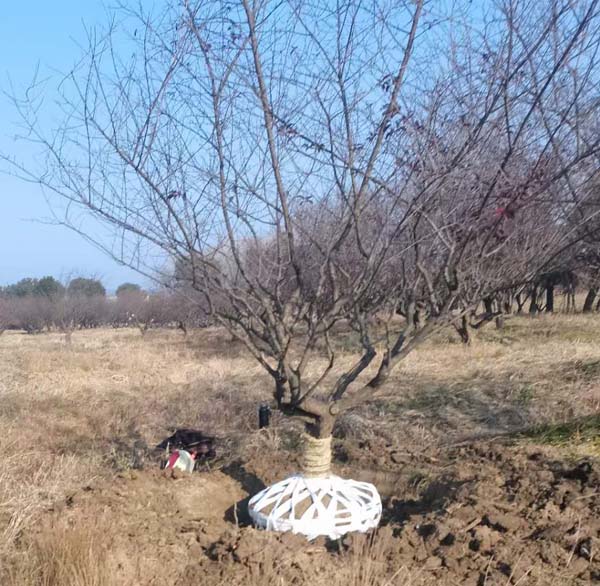 14����JƷ�t÷��ȡ�У��ȴ��͑��Լ��_܇�b؛��