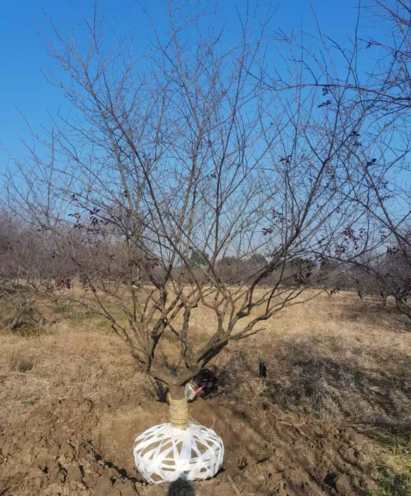 14����JƷ�t÷��ȡ�У��ȴ��͑��Լ��_܇�b؛��