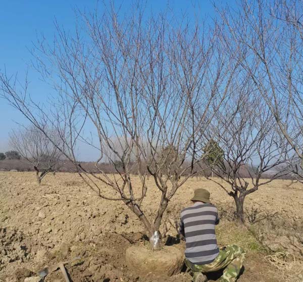 14����JƷ�t÷��ȡ�����ȴ��͑��Լ��_܇�b؛��