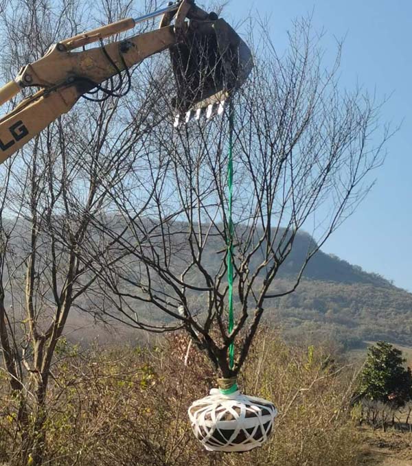 14����JƷ�t÷��ȡ�����ȴ��͑��Լ��_܇�b؛��