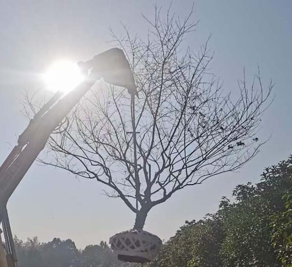 14����JƷ�t÷��ȡ�У��ȴ��͑��Լ��_܇�b؛��