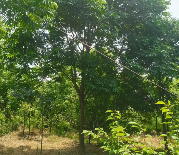 15���֟o����