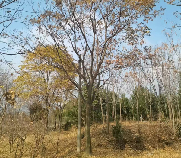 15���֟o����