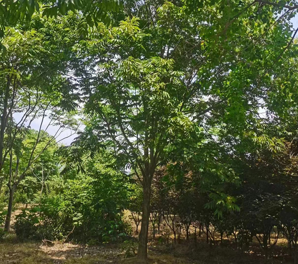 18���֟o����