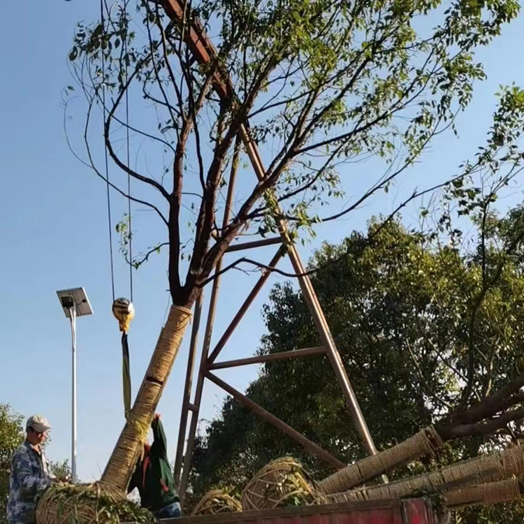 18����������