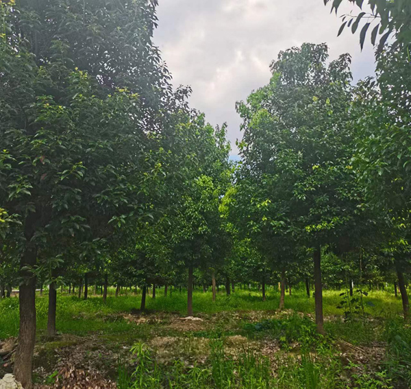 20����������