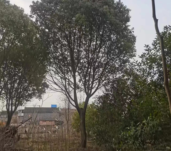 22��������