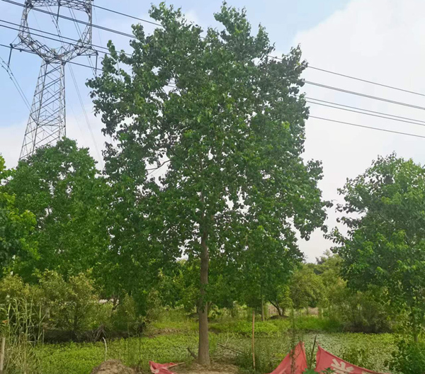 15���֞����