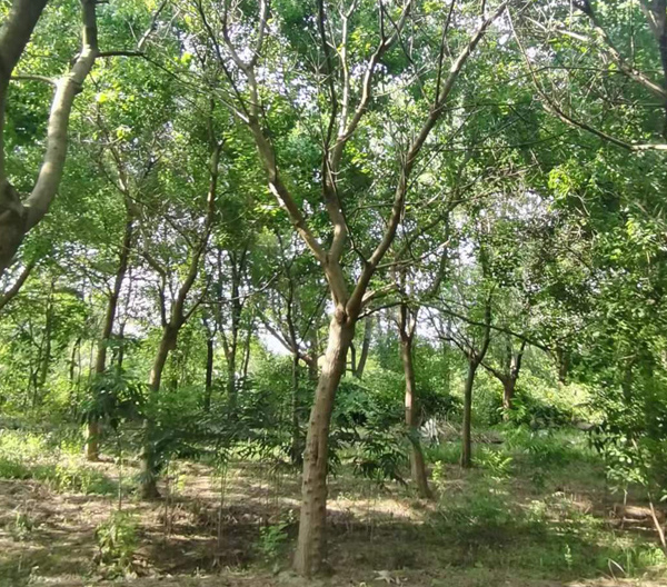 18���֞���