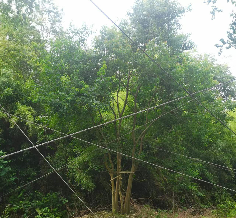 30-100���օ������