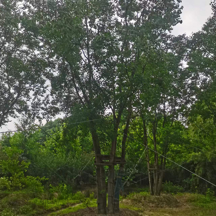 30-100���օ������