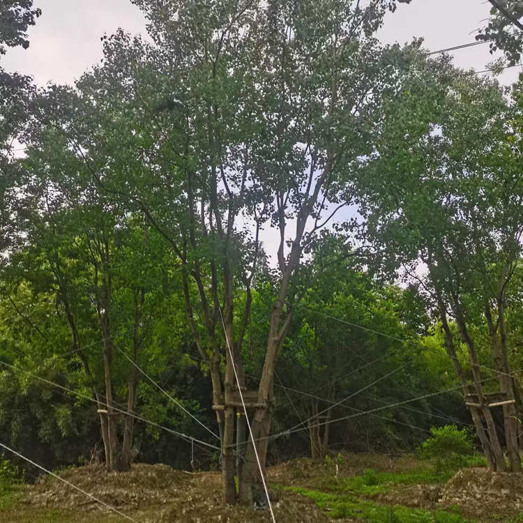 30-100���օ������