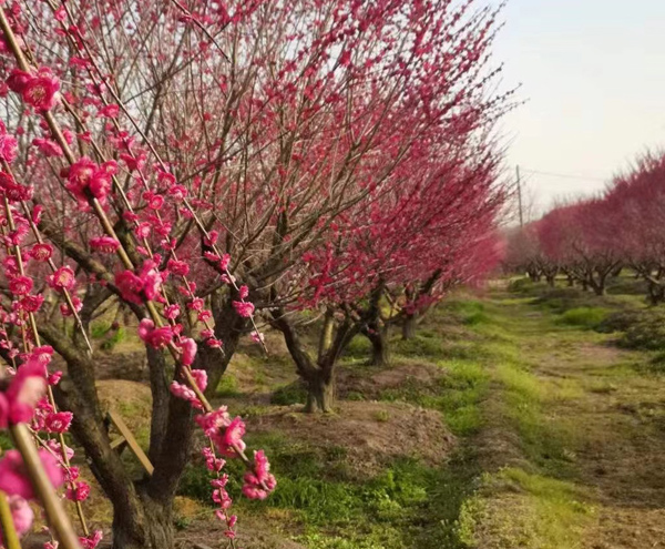 20���ּt÷��