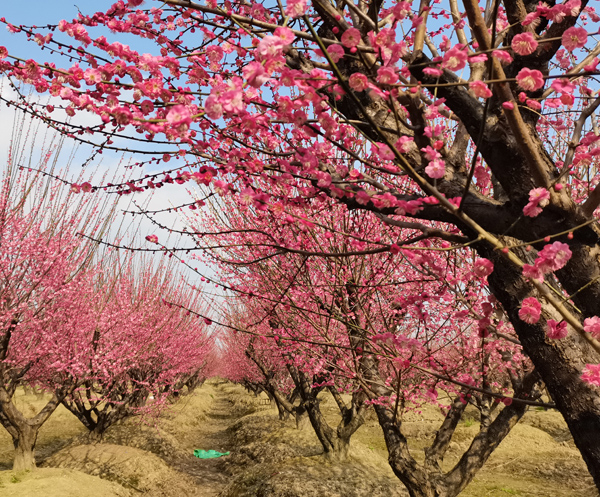 30-35���ּt÷��