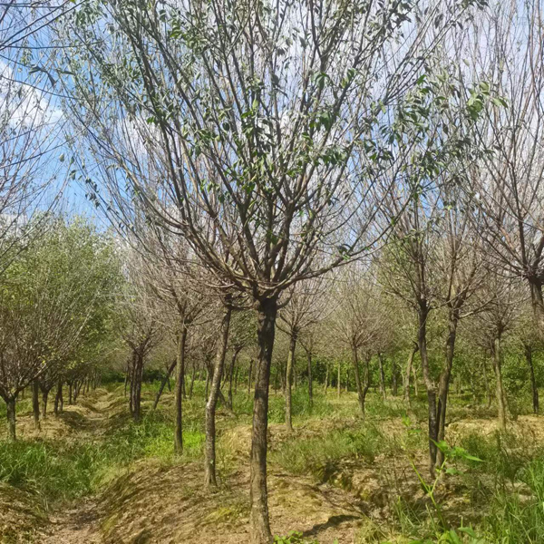 10-14���ָߗU�t÷