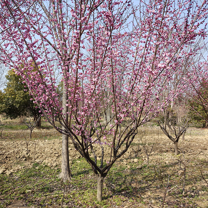 7-10���֌m��÷��ȫ�ш@�ֵĴ��վ_��